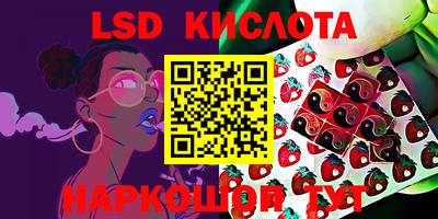 Альфа ПВП Краснознаменск