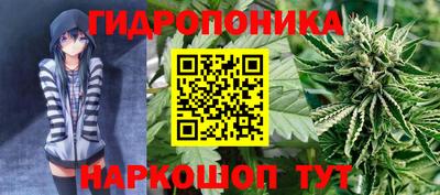Альфа ПВП Краснознаменск