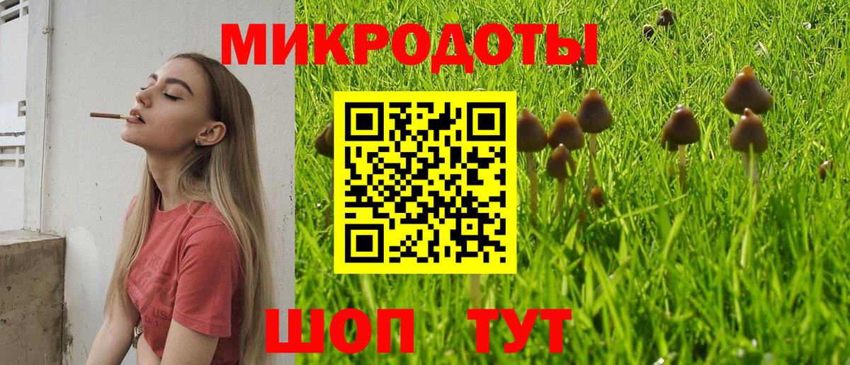 Псилоцибиновые грибы Psilocybine cubensis  Вход с VPN  Галлюциногенные грибы Psilocybe  Гусиноозёрск 